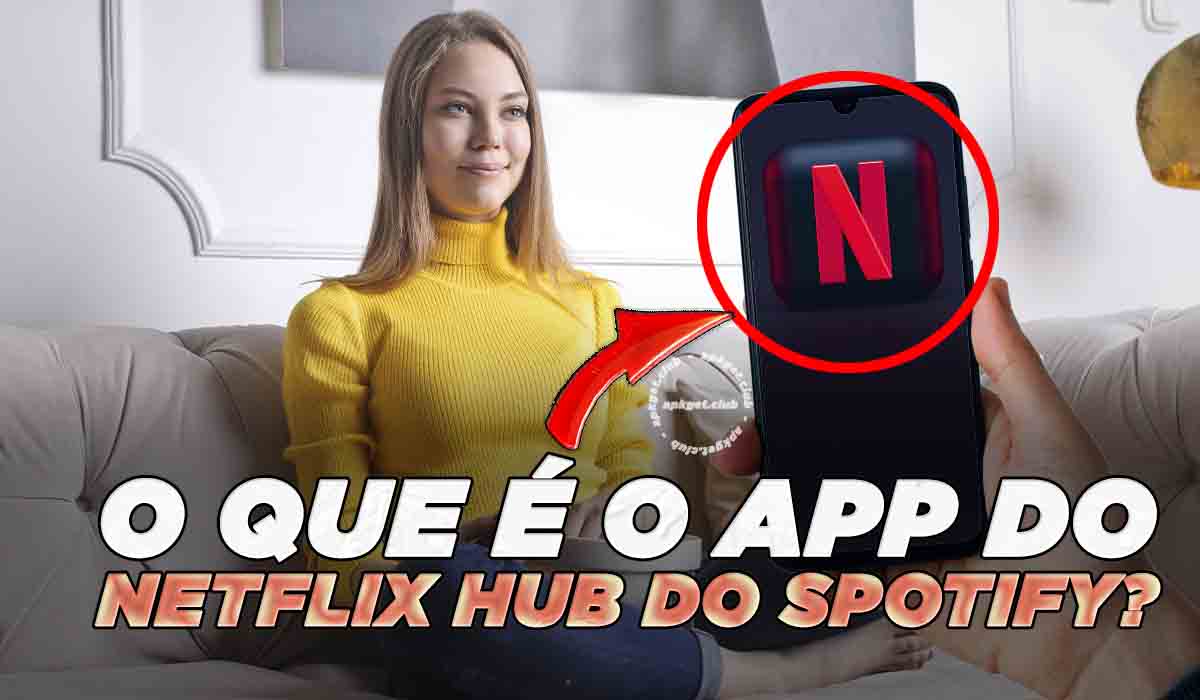 Netflix HUB